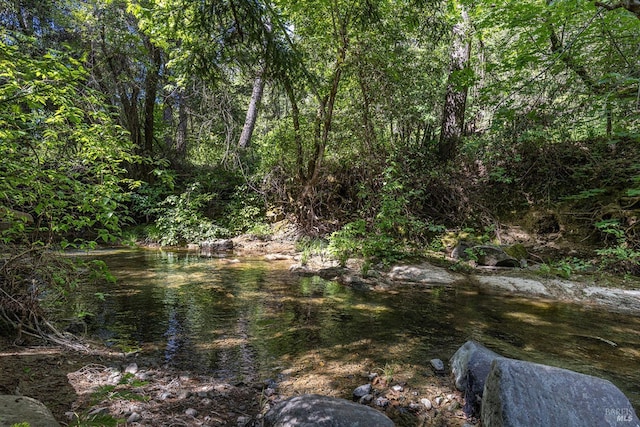 4011 Mill Creek Rd, Healdsburg, CA 95448 - view of woods