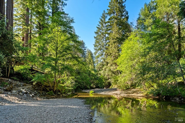 5600 Cazadero Hwy, Cazadero, CA 95421 - water view featuring a heavily wooded area