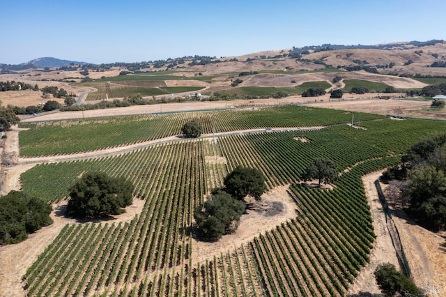 3340 Lichau Rd, Penngrove, CA 94951