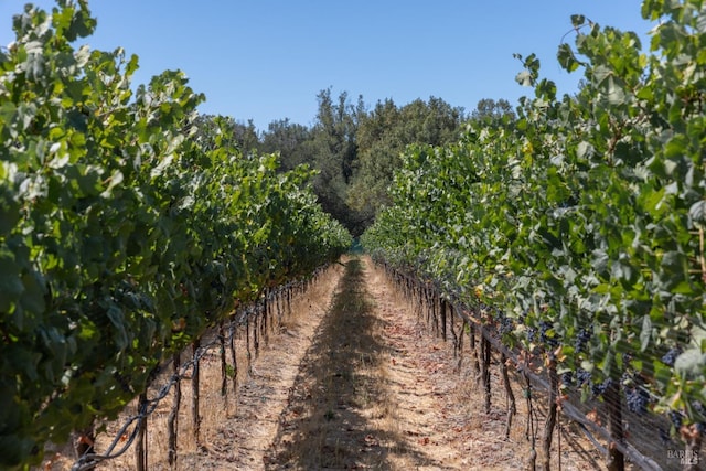 3340 Lichau Rd, Penngrove, CA 94951