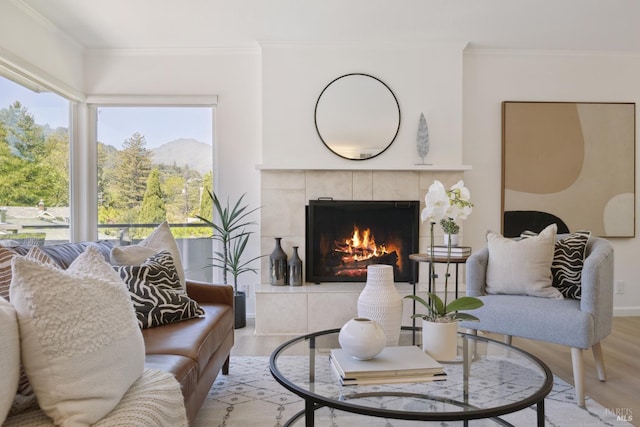 40 Redwood Ave, Corte Madera, CA 94925 - living area with light wood-style floors, a fireplace, ornamental molding, and a mountain view