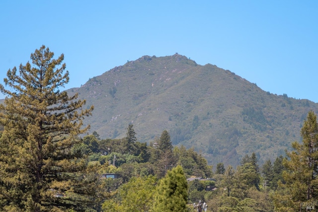 40 Redwood Ave, Corte Madera, CA 94925 - mountain view with a forest