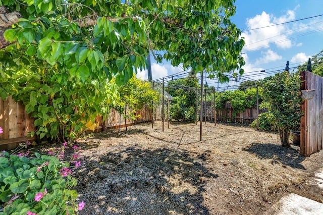 600 Buss Ave, Vallejo, CA 94591 - view of fenced backyard