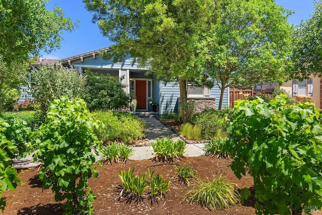 8596 Starr Rd, Windsor, CA 95492 - view of property hidden behind natural elements