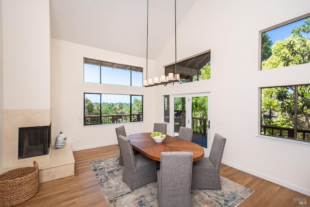 1043 La Quinta Ct, Napa, CA 94559 - dining room with a high ceiling, baseboards, wood finished floors, and a premium fireplace