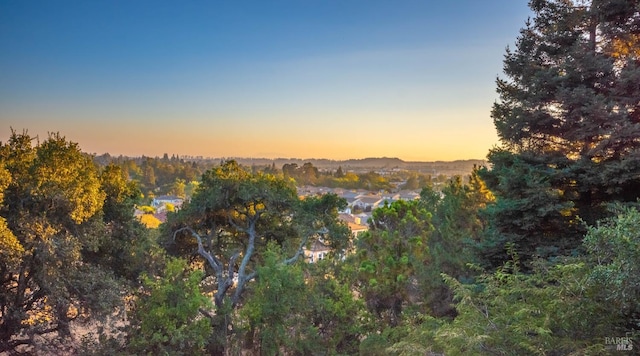 1043 La Quinta Ct, Napa, CA 94559 - view of mountain backdrop