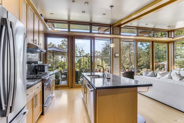 1067 Darms Ln, Napa, CA 94558 - kitchen with appliances with stainless steel finishes, light wood-style floors, under cabinet range hood, and an island with sink