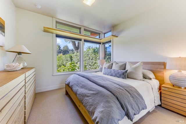 1067 Darms Ln, Napa, CA 94558 - bedroom with light carpet and baseboards