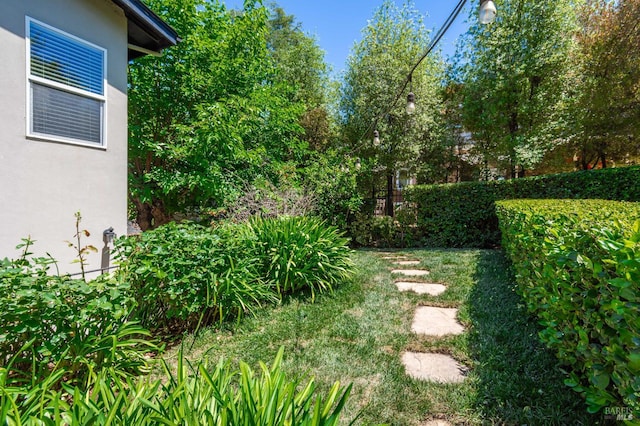 225 Berna Ave, Napa, CA 94559 - view of yard