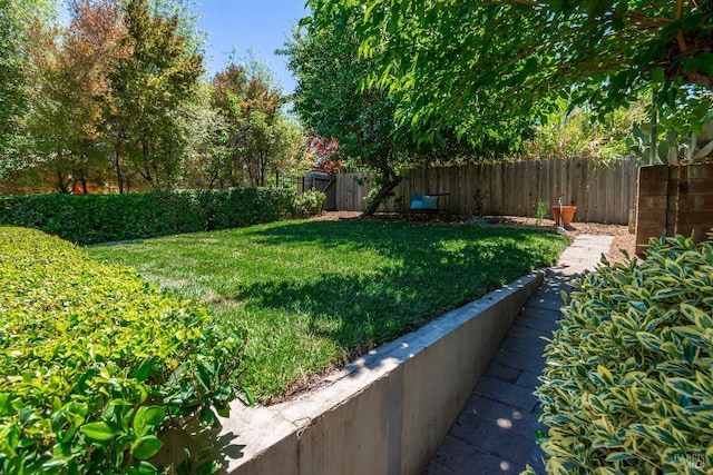 225 Berna Ave, Napa, CA 94559 - view of yard