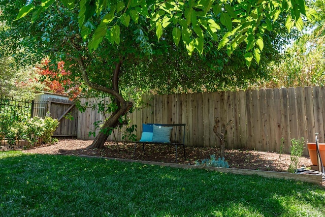 225 Berna Ave, Napa, CA 94559 - view of yard