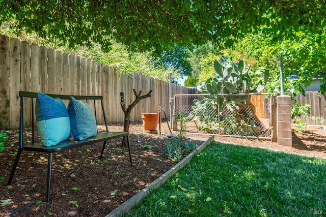 225 Berna Ave, Napa, CA 94559 - view of yard