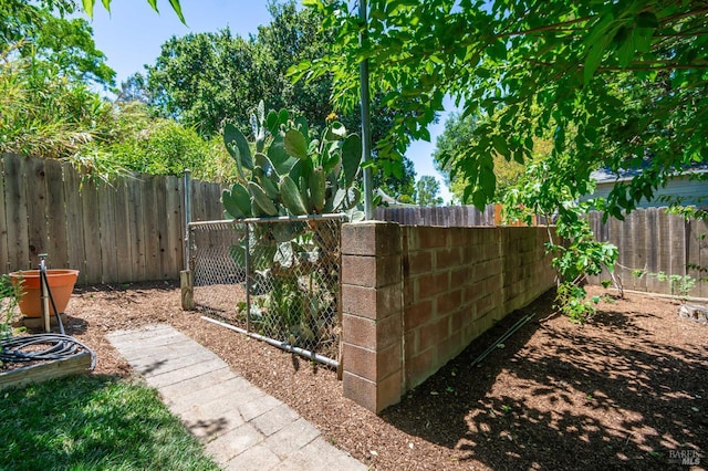 225 Berna Ave, Napa, CA 94559 - view of fenced backyard