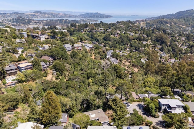 1131 W California Ave, Mill Valley, CA 94941 - aerial view of mountains