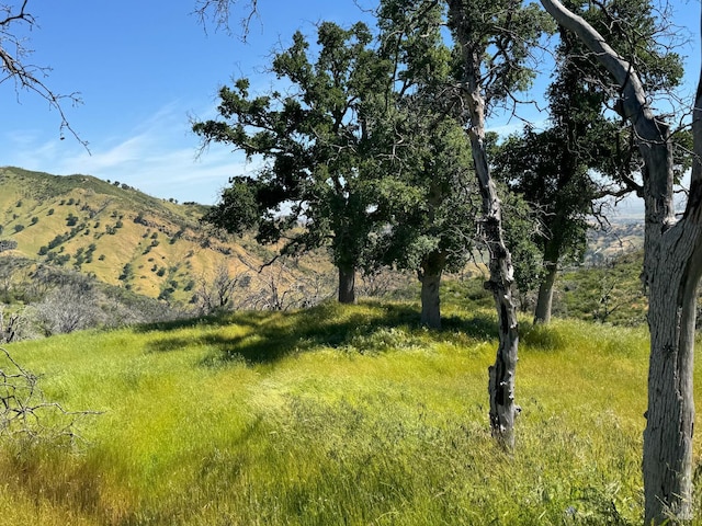 0 Twin Fawn Trl, Vacaville, CA 95688