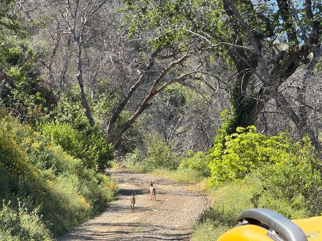 0 Twin Fawn Trl, Vacaville, CA 95688