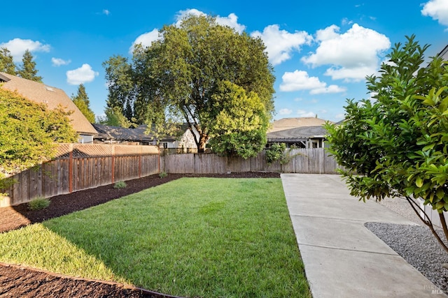 2410 Pinercrest Dr, Santa Rosa, CA 95403 - view of yard with a patio area