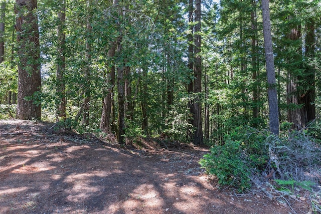 45270 Ocean View Ln, Gualala, CA 95445 - view of wooded area