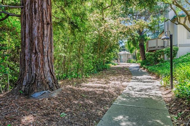 111 Cheda Ln, Novato, CA 94947 - view of yard