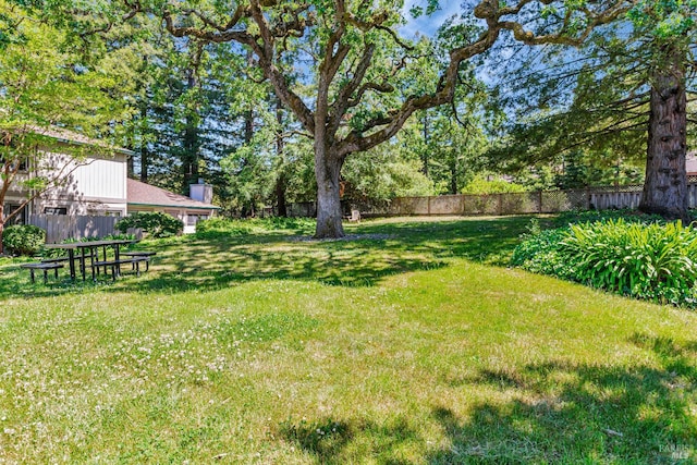 111 Cheda Ln, Novato, CA 94947 - view of yard