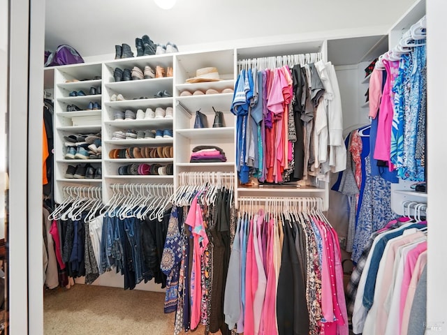 1233 Lincoln St, Fairfield, CA 94533 - walk in closet with carpet floors