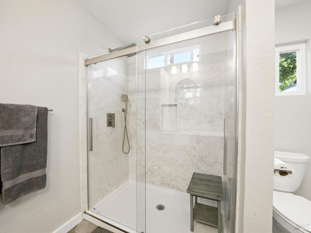 1233 Lincoln St, Fairfield, CA 94533 - bathroom featuring toilet, plenty of natural light, and a stall shower