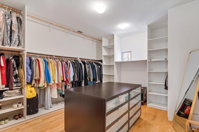 48 Longhorn Ridge Rd, Napa, CA 94558 - spacious closet with light wood-style flooring