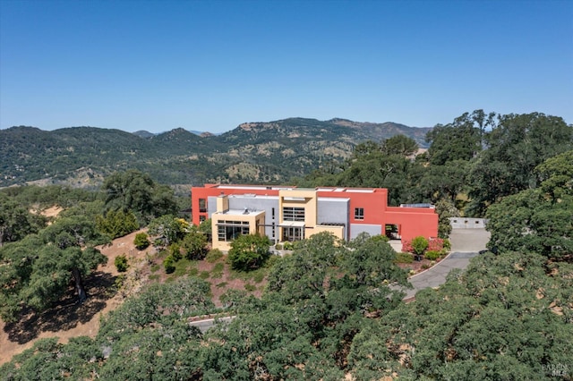 48 Longhorn Ridge Rd, Napa, CA 94558 - view of mountain background