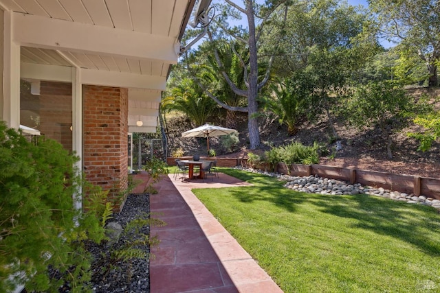 100 De La Guerra Rd, San Rafael, CA 94903 - view of grassy yard featuring a patio area