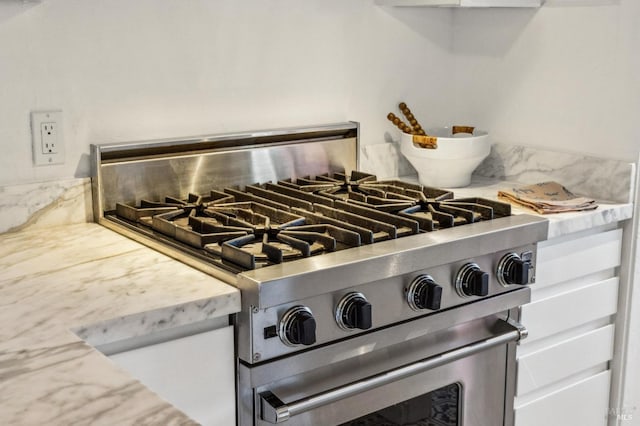 516 Howard St, Petaluma, CA 94952 - kitchen view of high end stainless steel range oven