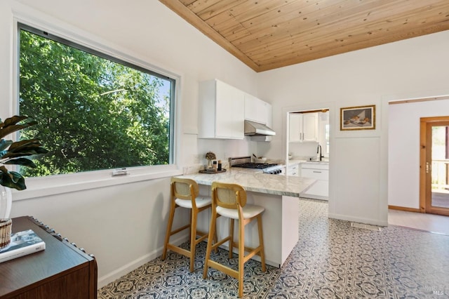 516 Howard St, Petaluma, CA 94952 - kitchen featuring white cabinets, a sink, wood ceiling, baseboards, and range