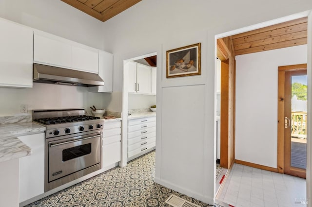 516 Howard St, Petaluma, CA 94952 - kitchen with under cabinet range hood, premium range, white cabinetry, light stone countertops, and baseboards