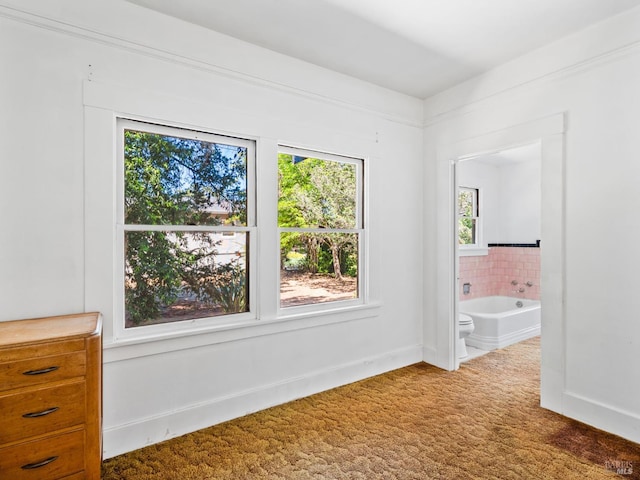 442 Piper St, Healdsburg, CA 95448 - unfurnished room with carpet and baseboards