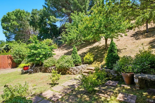 138 Nicole Way, Vallejo, CA 94589 - view of yard