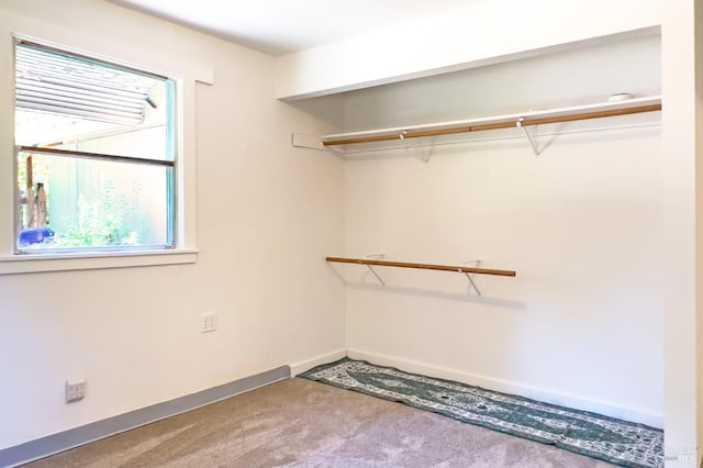 15866 Wright Dr, Guerneville, CA 95446 - spacious closet featuring carpet