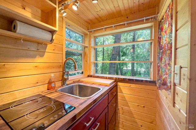 15866 Wright Dr, Guerneville, CA 95446 - kitchen with a sink, butcher block countertops, open shelves, wooden walls, and wooden ceiling