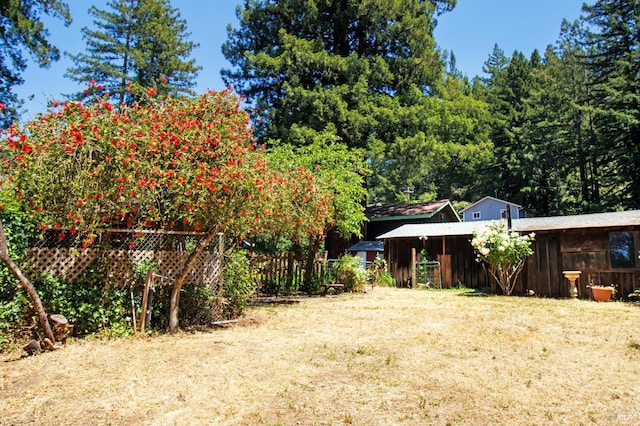15866 Wright Dr, Guerneville, CA 95446 - view of yard