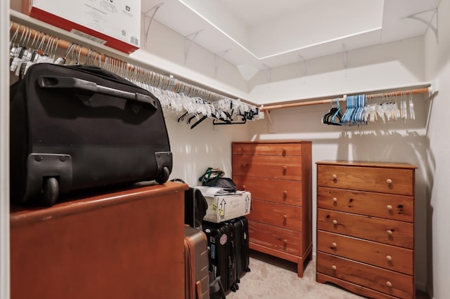 2032 Hunt St, Woodland, CA 95776 - view of spacious closet