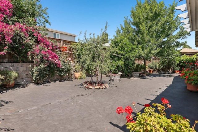 2032 Hunt St, Woodland, CA 95776 - view of fenced backyard