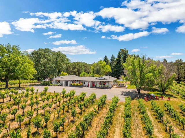 725 Lytton Station Rd, Healdsburg, CA 95448 - rear view of house with a view of rural / pastoral area and dirt driveway