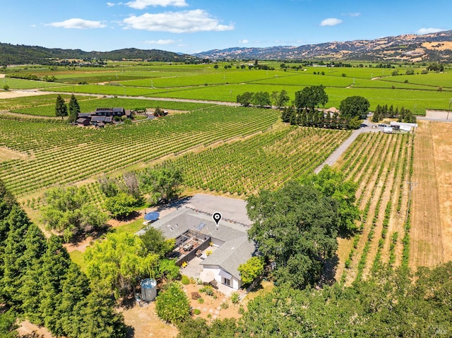 725 Lytton Station Rd, Healdsburg, CA 95448 - overview of rural landscape featuring abundant farmland and mountains