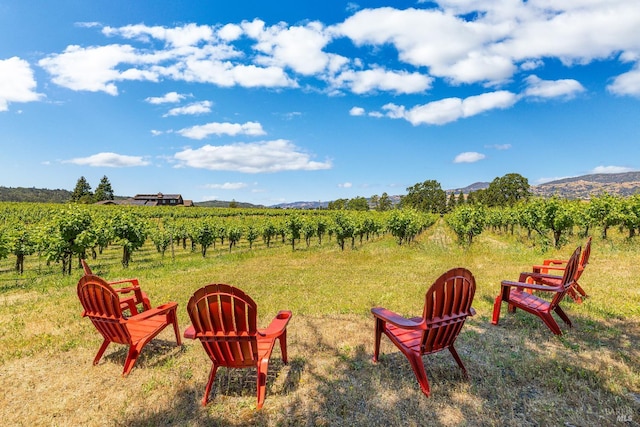 725 Lytton Station Rd, Healdsburg, CA 95448 - view of yard with agricultural plots, a rural view, and a mountain view
