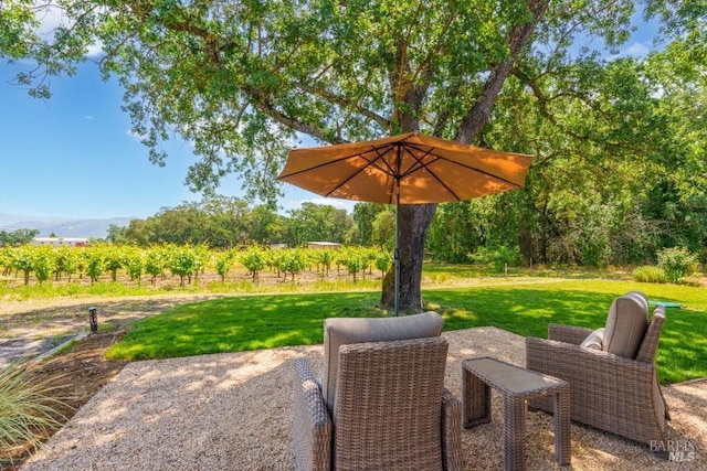 725 Lytton Station Rd, Healdsburg, CA 95448 - view of patio / terrace