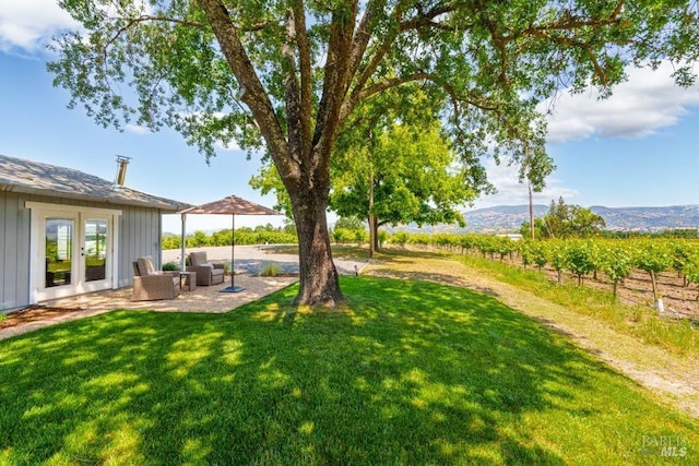 725 Lytton Station Rd, Healdsburg, CA 95448 - view of grassy yard with french doors and a patio area