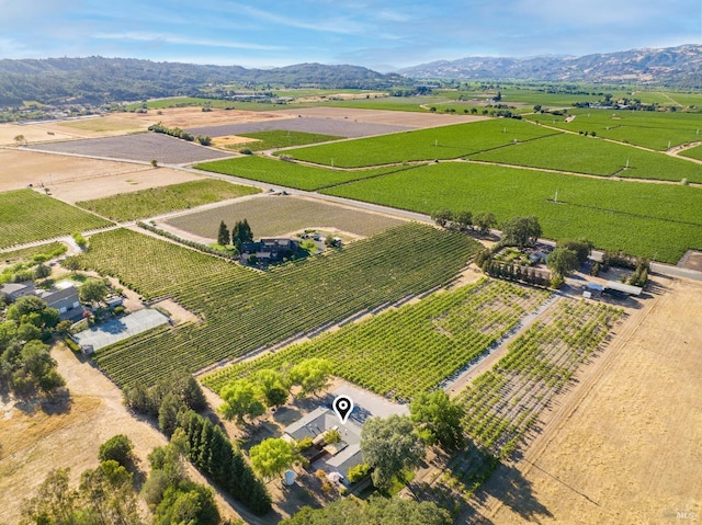 725 Lytton Station Rd, Healdsburg, CA 95448 - overview of rural landscape with extensive farmland and a mountainous background