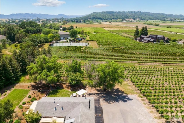725 Lytton Station Rd, Healdsburg, CA 95448 - view of rural area with farmland and mountains