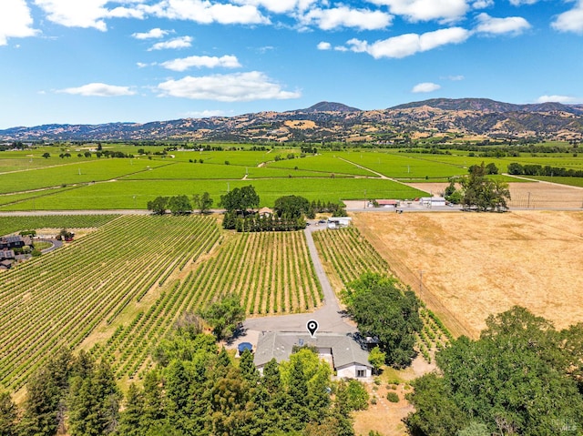 725 Lytton Station Rd, Healdsburg, CA 95448 - view of rural area with farmland and a mountain backdrop