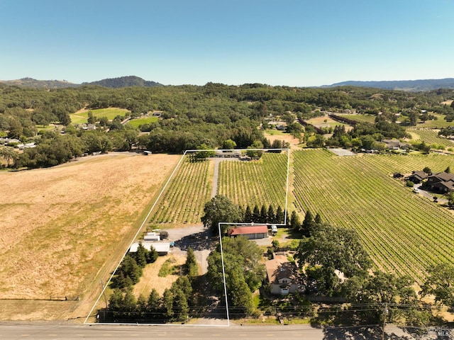 725 Lytton Station Rd, Healdsburg, CA 95448 - aerial view of sparsely populated area with property parcel outlined, extensive farmland, and a mountainous background