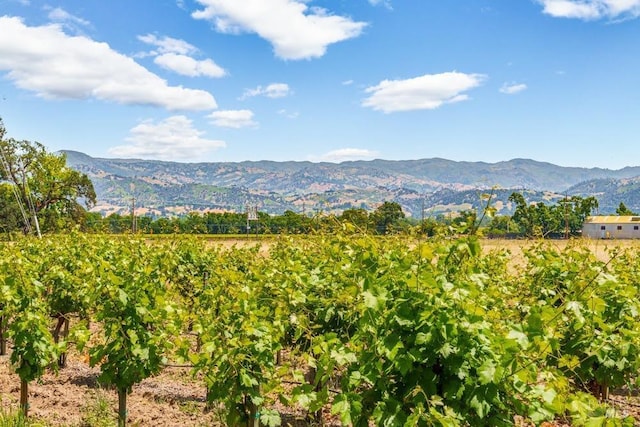 725 Lytton Station Rd, Healdsburg, CA 95448 - mountain view with rural landscape