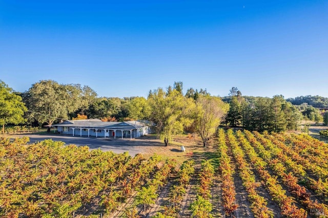 725 Lytton Station Rd, Healdsburg, CA 95448 - view from above of property